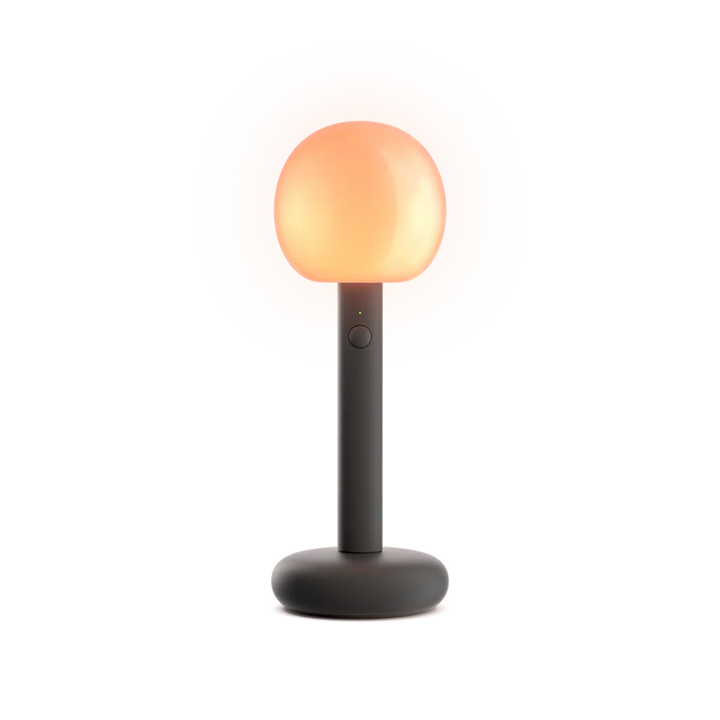 GRAU Fire Portable