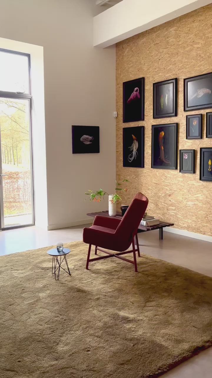 Gerderland 10020 Unfold Fauteuil