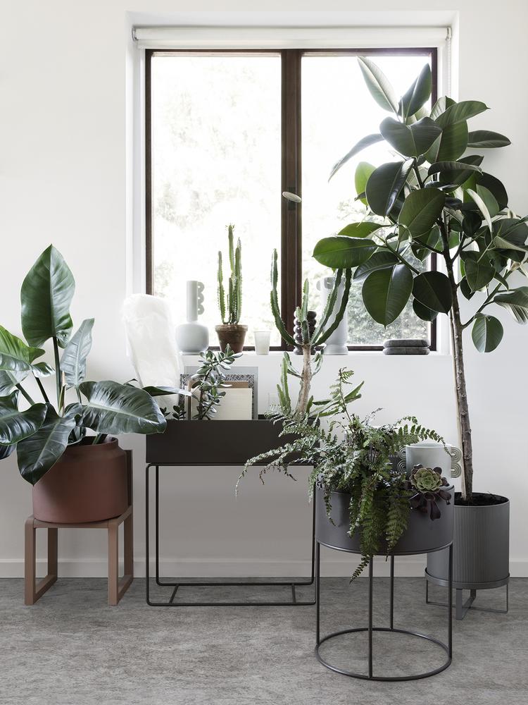 Ferm-Living-Plant-Box-De-Klare-Lijn-Leiden