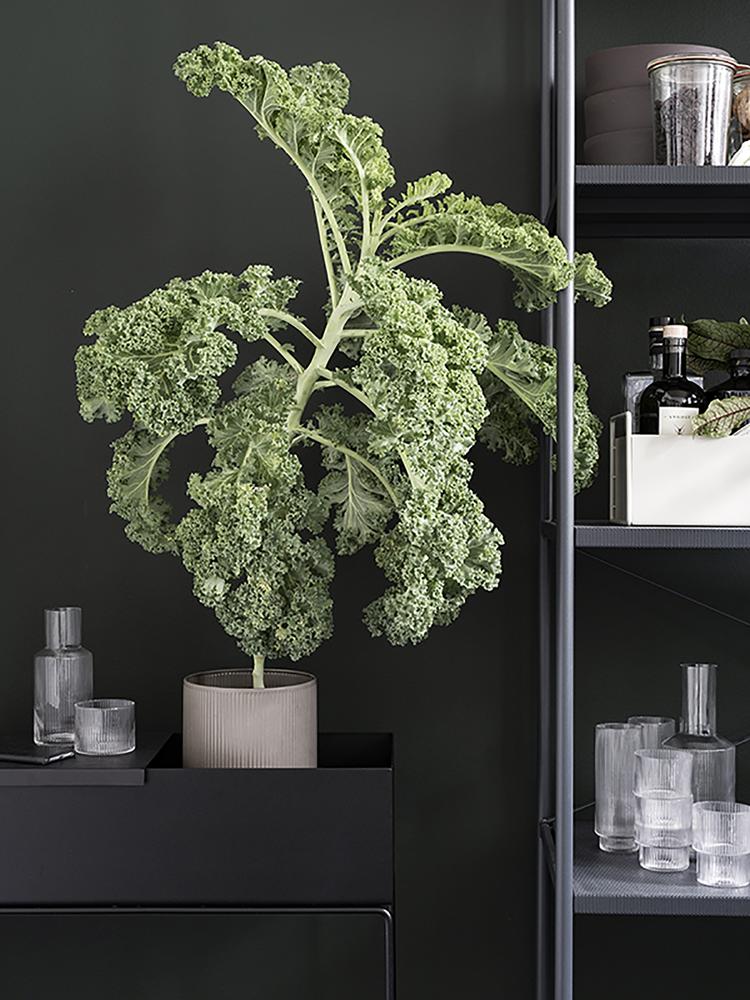 Ferm-Living-Plant-Box-De-Klare-Lijn-Leiden