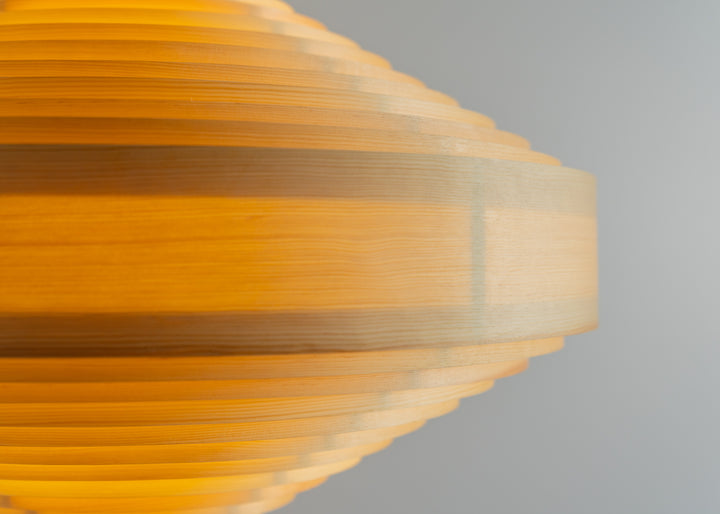 Vaarnii 1003 Hans Hanglamp