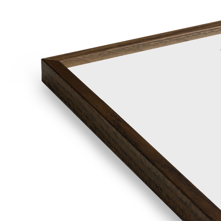 Paper Collective Coloured Frames