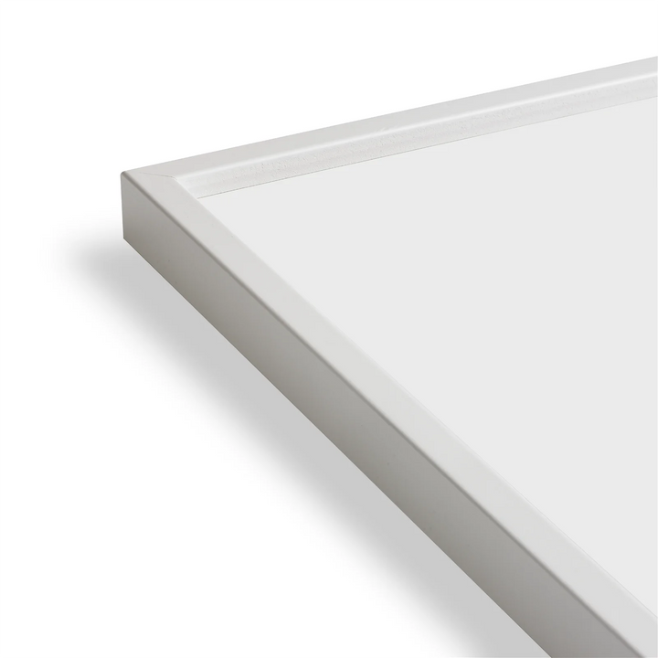 Paper Collective Coloured Frames