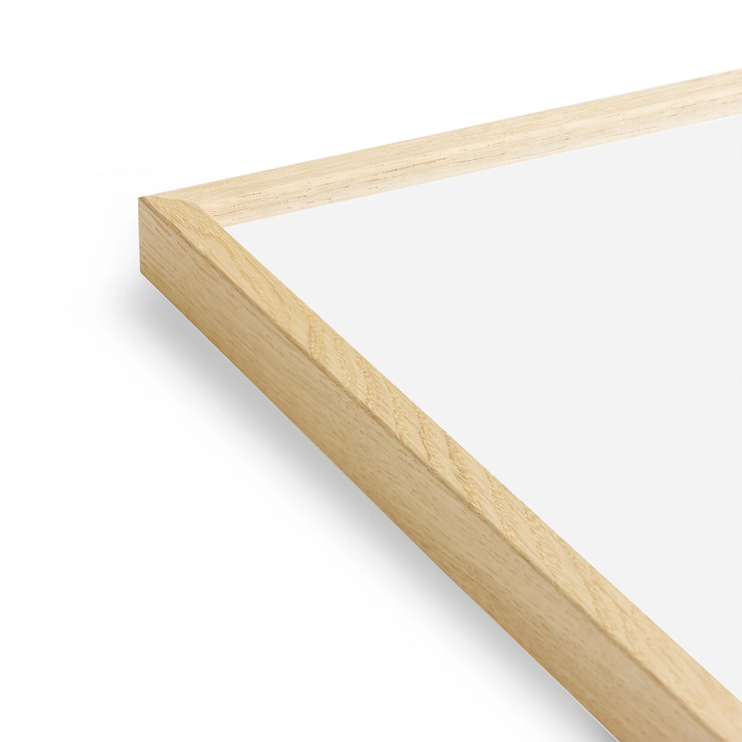 Paper Collective Coloured Frames