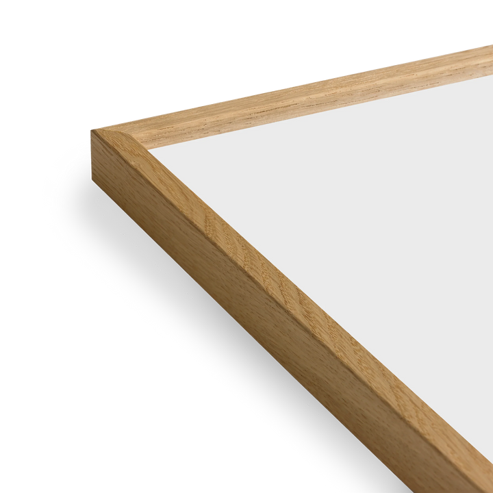 Paper Collective Coloured Frames