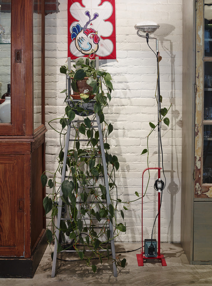 Flos Toio Vloerlamp