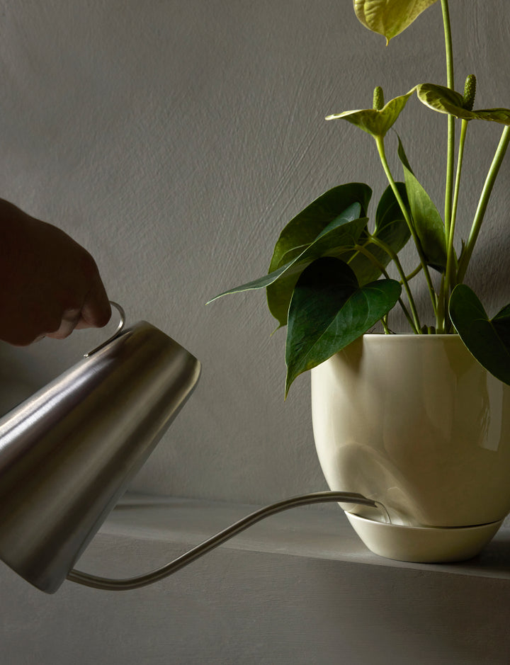 Audo Hydrous Gieter