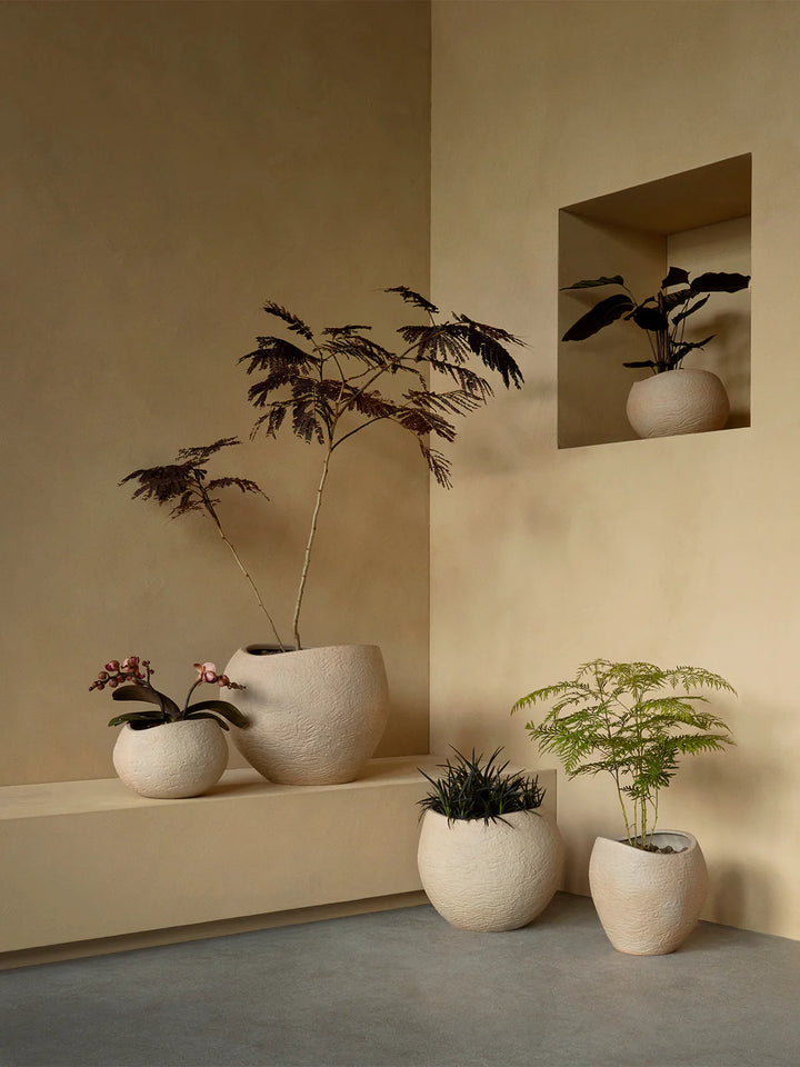 Audo Plantas Pot
