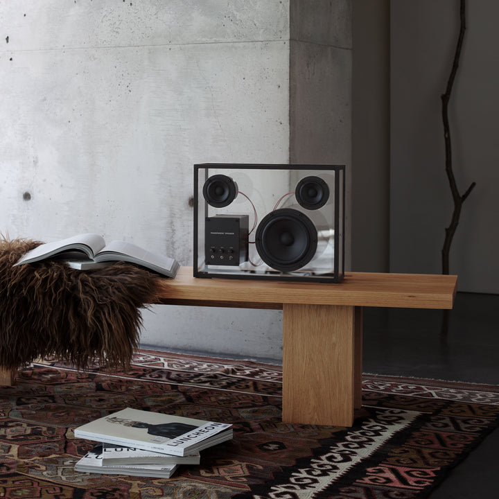 Transparent Speaker