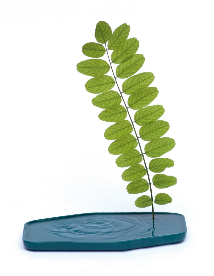 Moustache Plan Vase