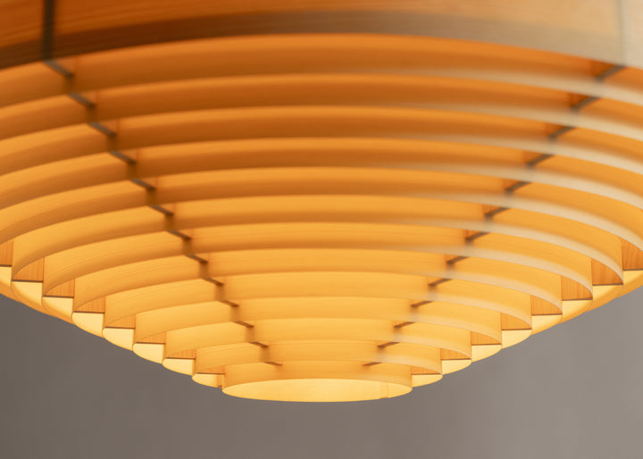 Vaarnii 1003 Hans Hanglamp