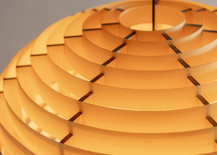 Vaarnii 1002 Hans Hanglamp