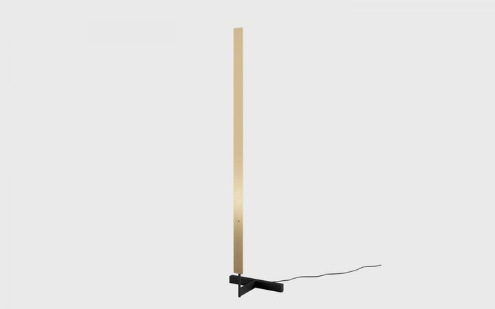 Anour F Model