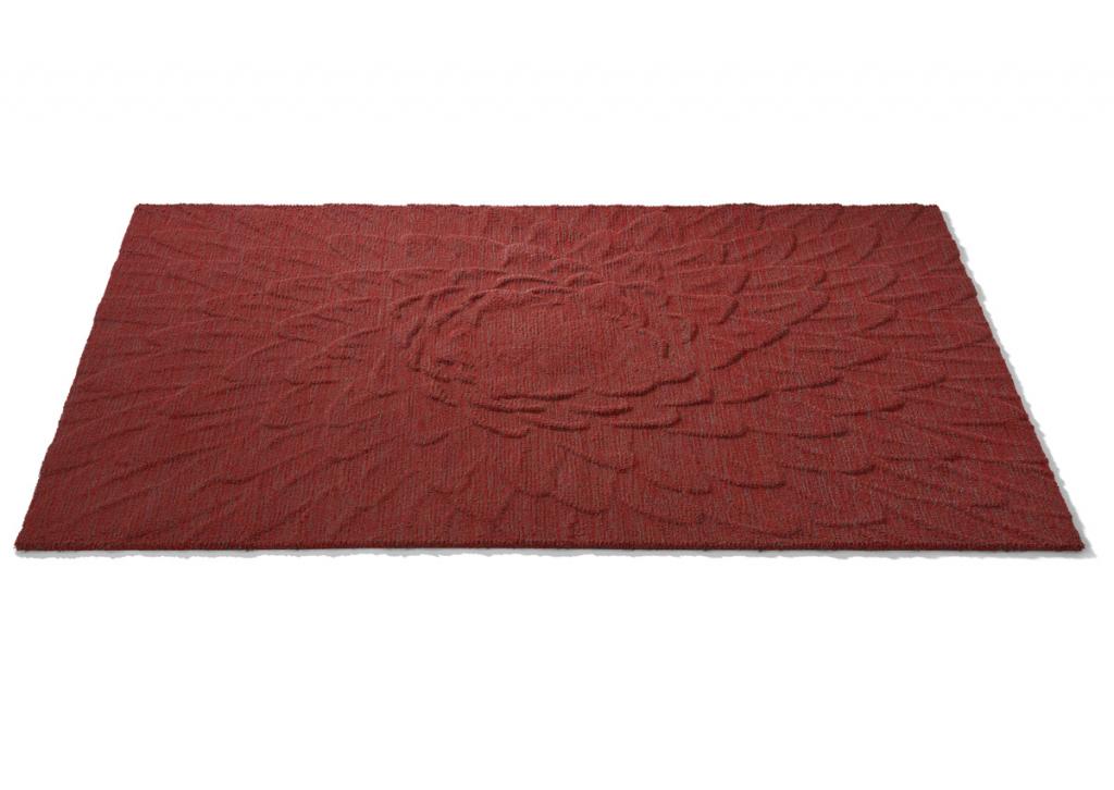 CSrugs Surfaces