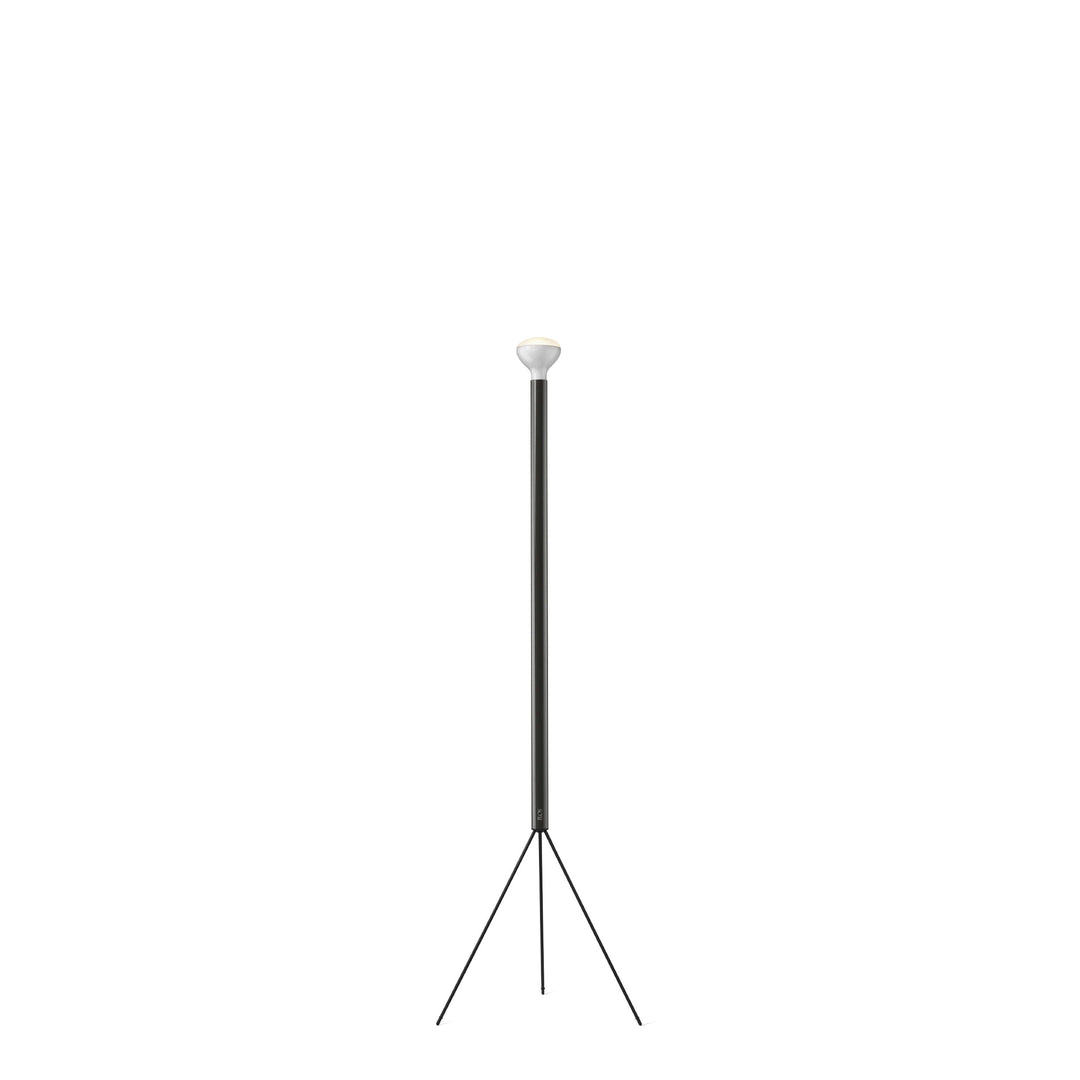 Flos Luminator