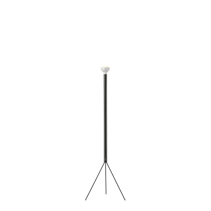 Flos Luminator