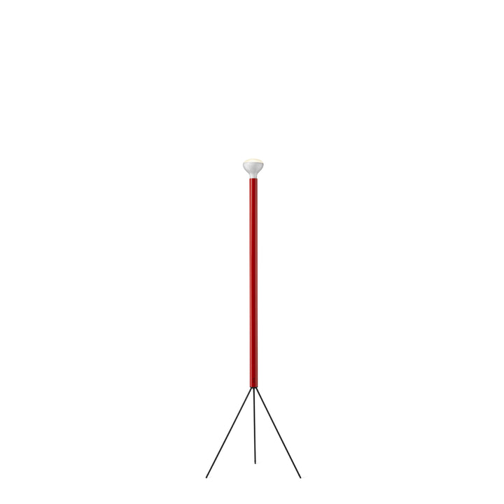 Flos Luminator
