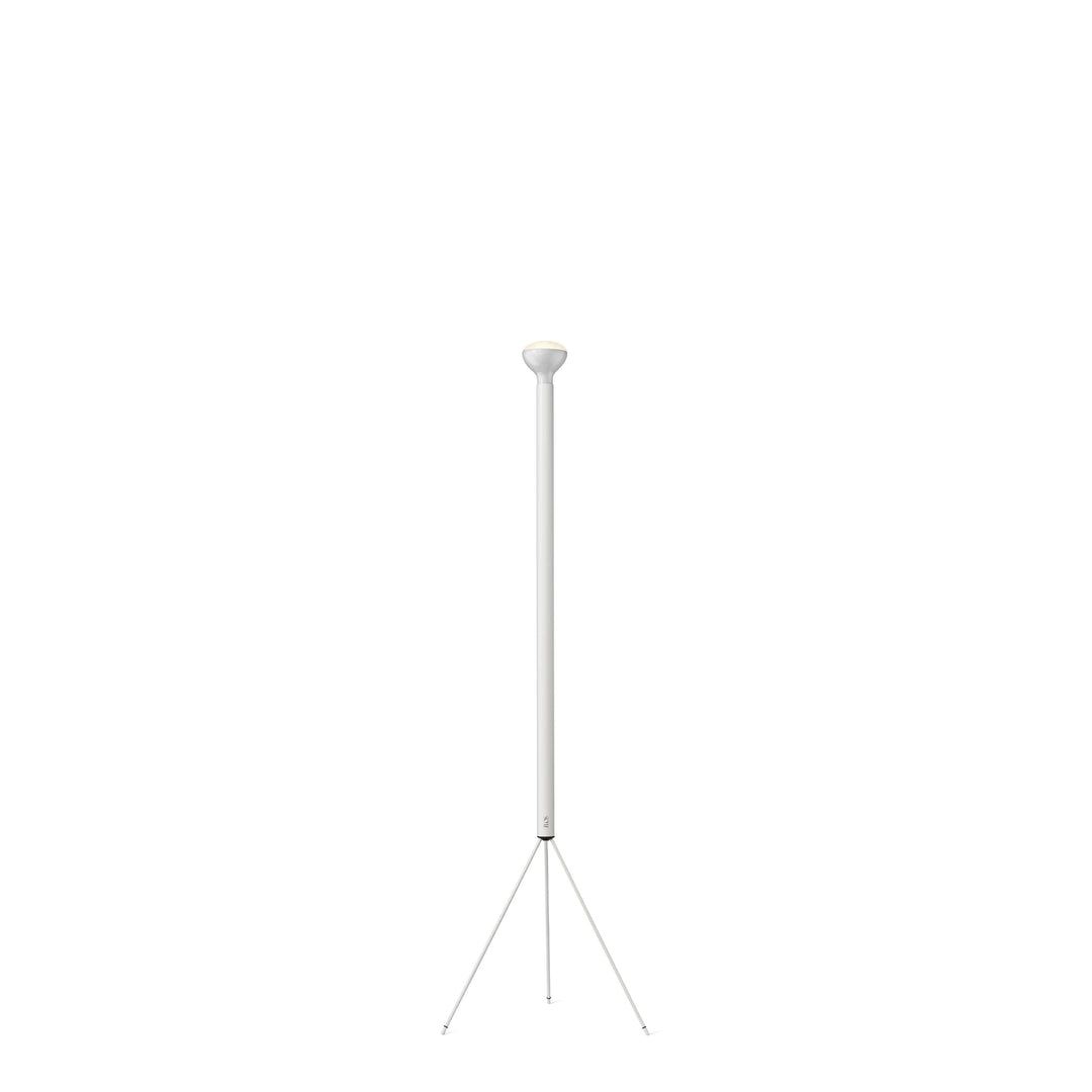 Flos Luminator