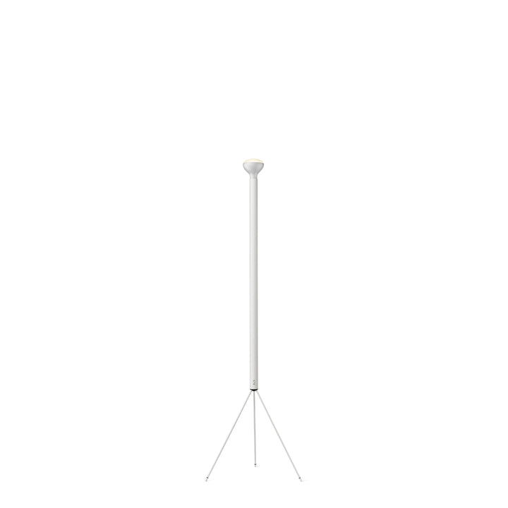 Flos Luminator