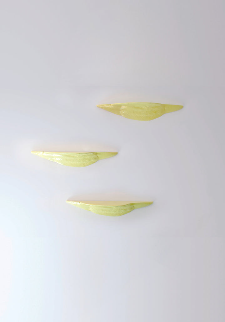 Moustache Mousse Shelves